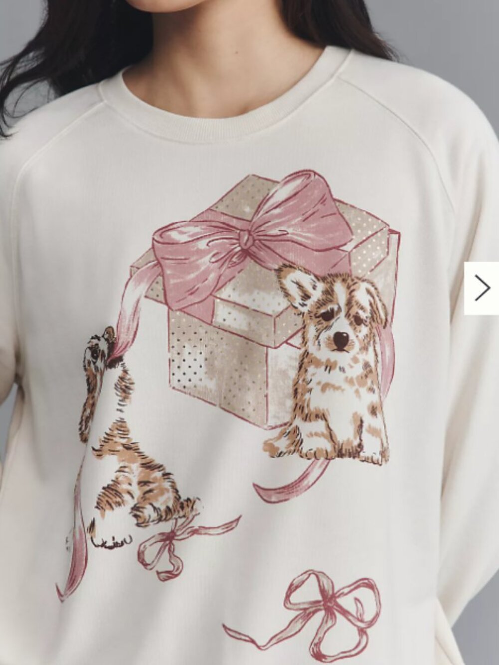Anthropologie Maeve Animal Friends Crew-Neck Sweatshirt